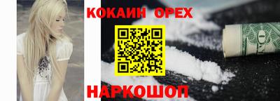 спиды Кингисепп