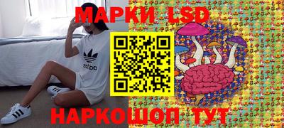 стаф Кимры