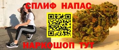 спиды Кингисепп