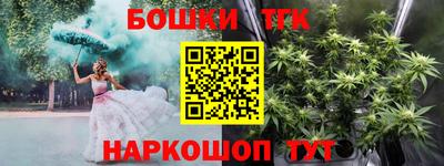 спиды Кингисепп