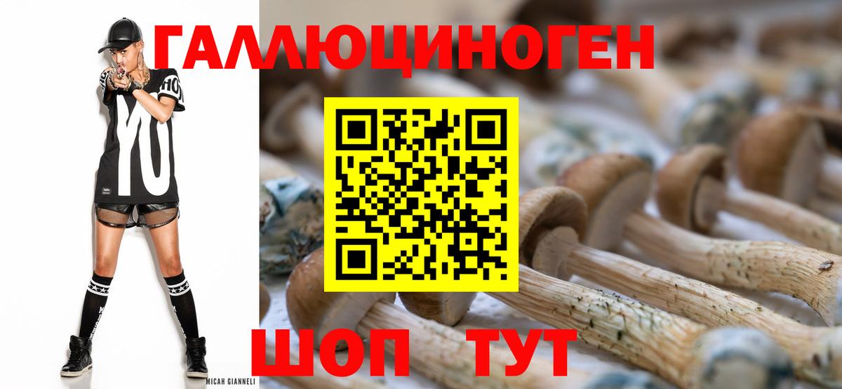 Красноармейск  Галлюциногенные грибы GOLDEN TEACHER  Вход с VPN 